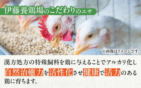 【12回定期便】きみ恋し 80個（75個+割れ保証5個）×12ヶ月 総計960個[AFAJ014]