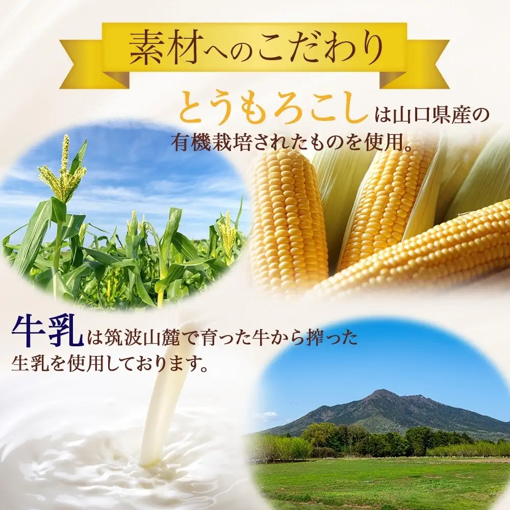 無地熨斗 つくばぷりん とうもろこしぷりん 6個 プリン ぷりん とうもろこし トウモロコシ 牛乳 ミルク 卵不使用 スイーツ 贅沢 洋菓子 おやつ 冷菓 ご褒美 デザート 人気 グルメ お取り寄せ ギフト プレゼント 贈り物 贈答品 冷蔵 送料無料 ふじ屋 茨城県 桜川市 [EW030sa]