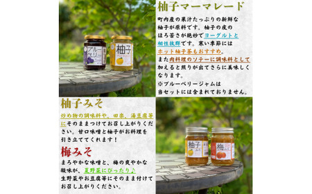 【手作り・無添加】「ふるさとの愛情詰め合わせ 食卓セット2」 ～ みそ・ ポン酢 ・ マーマレード  ・ 焼肉のタレ ～  / 調味料 味噌汁 パン BBQ スイーツ 料理 柚子 ゆず味噌 梅味噌 和歌山【ois629-set-2】