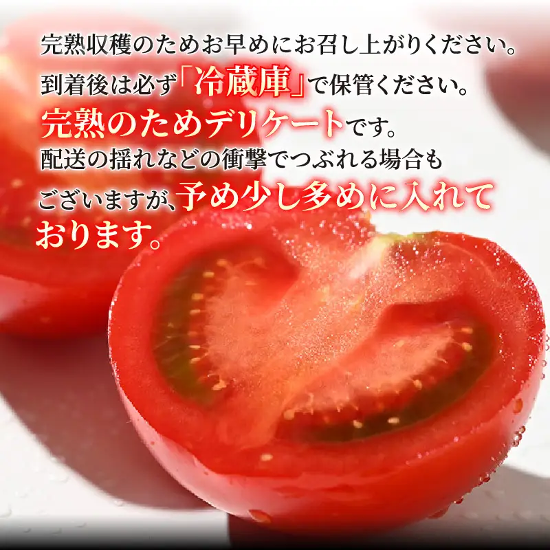 【先行予約】ミディトマト 越のルビー パック入り 約1kg 5パック（4パック＋品質補償1パック） / 福井県産 ブランド トマト 福井県産ブランドトマト 農家直送 有機肥料 低農薬 完熟 甘い ※2026年9月下旬より順次発送 [aw069-a009]