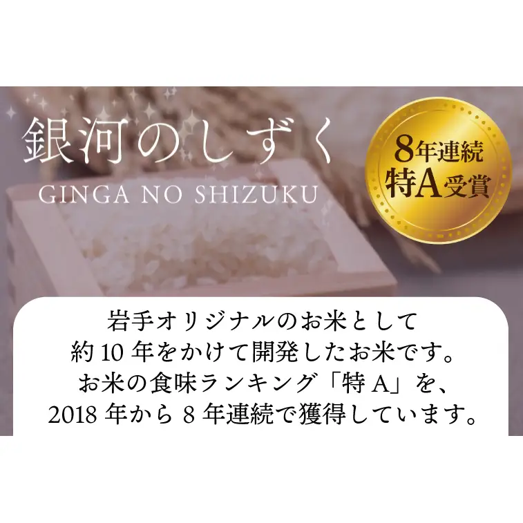 【定期便 3ヶ月】無洗米 令和7年産 銀河のしずく 10kg AE196 無洗