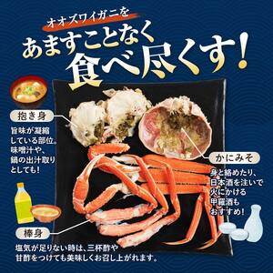 【訳あり】北海道噴火湾産 活オオズワイガニ1.5kg ＜道産ネットミツハシ＞ かに カニ 蟹 ガニ がに 森町 ふるさと納税 北海道 mr1-1339