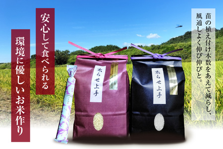 大ぶとりセット【太らせ上手（白米＋もち米＋八分付き）】