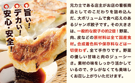 餃子 どすこい餃子 冷凍 15個 浜あげ吉田屋 | 餃子