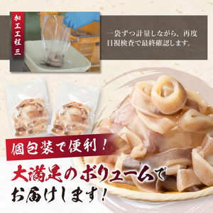 a10-1105　訳あり アルゼンチン産 マツイカ リングカット 2kg