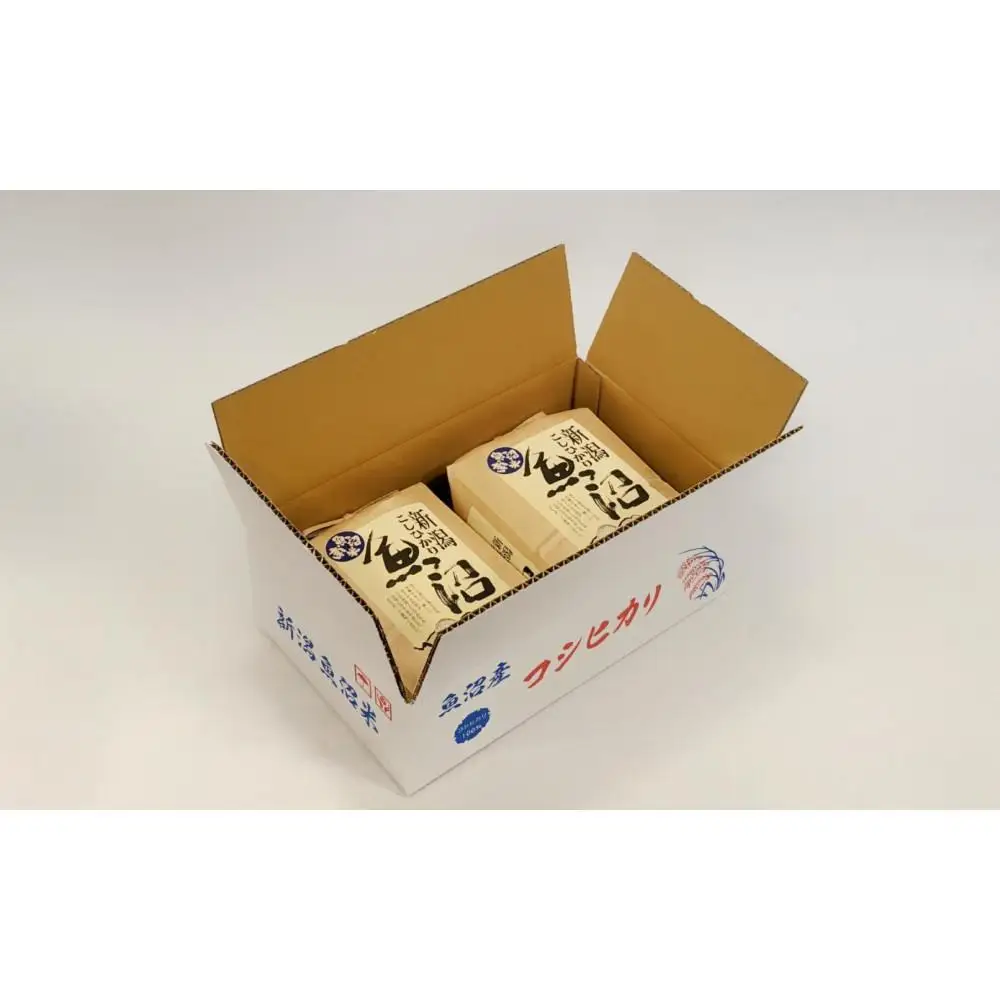 令和７年産「五つ星お米マイスター」の南魚沼産コシヒカリ　無洗米４kg（２kg×２個）【銘柄米 ブランド米 無洗米 こしひかり コシヒカリ 魚沼産 新潟米 産地直送 お米 米 こめ コメ ご飯 御飯 ごはん】