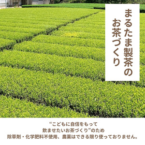 静岡県産の和紅茶ティーバッグ（30ヶ入り×2袋セット）