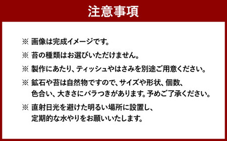 【D：飾り砂（ブルー系）×1袋】 おうちで作ろう♪ 苔テラリウム 手づくりキット 小瓶 選べるアイテム 【おうち時間】【インテリア】 育て方のしおり 付き 植物 テラリウム 苔テラリウム 苔 こけ コケ 手作り ハンドメイド セット