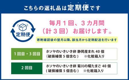 【 3ヶ月定期便 】「 ホソヤさんちのいきいき卵 」40個 （割れ補償 5個含む）セット ×3回 計120個 ｜ 静岡産まれ 菊川の耀たまご 化粧箱入 たまご 卵 玉子 生卵 静岡 国産 定期便
