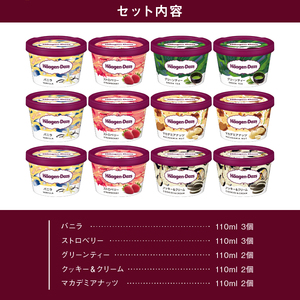 ハーゲンダッツ『定番ミニカップ12個』アイス アイスクリーム スイーツ 北海道_H0016-111