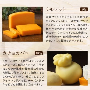 《人気No1》手造りチーズセット チーズ_H0003-102