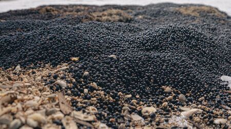 ジン クラシックジン 鷹栖蒸溜所のクラシックジン RETROGRADE レトログレイド 700ml 北海道 鷹栖町 Son＆Heir株式会社 ジン クラシックジン お酒 GIN 酒