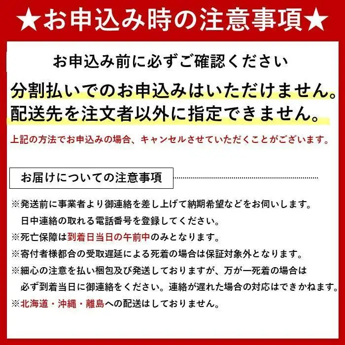 ヘラクレスオオカブト メス 1匹 サイズフリー　※配送不可地域あり