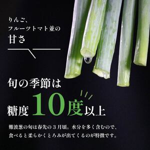 【 美味しい ネギ 】 難波葱 2kg ネギ