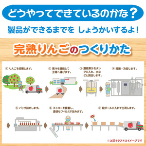 りんご ジュース 定期便 3ヶ月 京都 京田辺 明治 アンパンマン 完熟りんご100 125ml 36本×3回 幼児 子供 紙パック 飲料 ベビー 備蓄 常温 保存 リンゴ 100% まとめ買い 定期 お楽しみ 3回 ふるさと納税 京田辺市