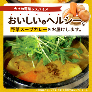 【ナチュラルファーム菓樹】農園野菜スープカレー 3個セット _NK0106