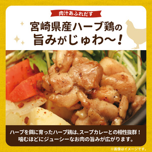 【ナチュラルファーム菓樹】農園野菜とハーブ鶏のスープカレー 3個セット _NK0306