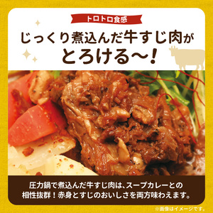 【ナチュラルファーム菓樹】牛すじスープカレー 3個セット _NK0406