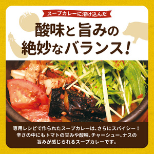 【ナチュラルファーム菓樹】トマトとなすのスープカレー 3個セット _NK0506