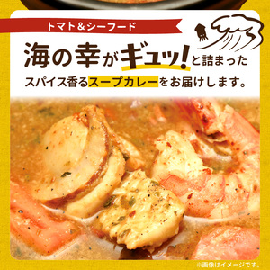 【ナチュラルファーム菓樹】海の幸のスープカレー 3個セット _NK0606