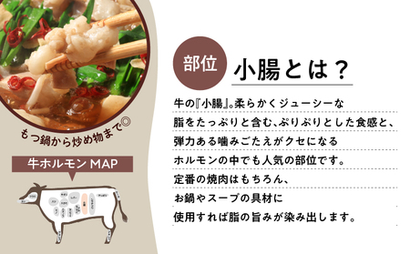 もつ鍋 ホルモン 小腸 600ｇ （200g×3パック） 【 上ホルモン ワンランク上のもつ鍋に！】 K002-004_01 肉 牛肉 冷凍