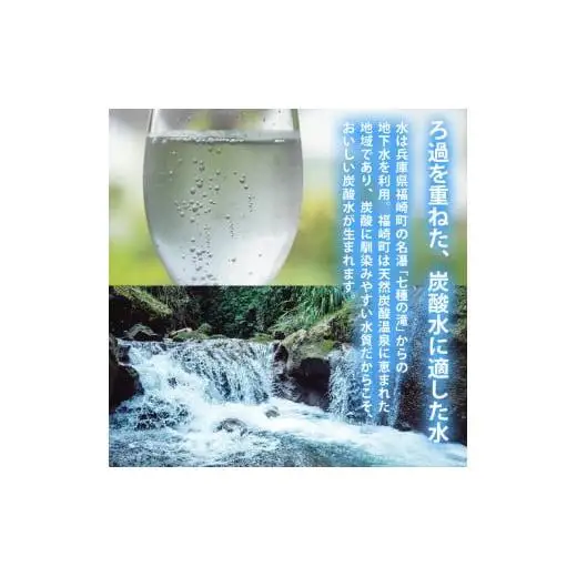 炭酸水 定期便 隔月 6回 500ml×24本 ソーダ