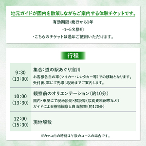 四万十町遠山植物観察会　体験チケット（1～5名様）／Mkk-33