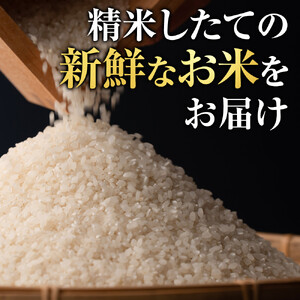 令和7年度産 ななつぼし 白米 10kg | ななつぼし_03887