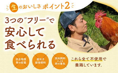 卵 飛鳥の卵 風雅ファーム卵 40個 15-011