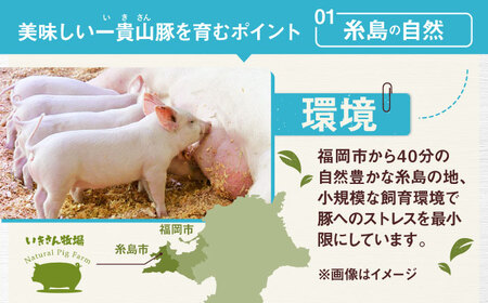 一貴山豚 しゃぶしゃぶ 食べ比べセット スライス3種750g＋つくね200g 糸島市 / いきさん牧場 豚肉 セット [AGB061]