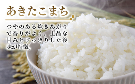 令和7年産 こしひかり あきたこまち (5kg×1袋ずつ) 計10kg 食べ比べ 中山産業 【価格変更AB】