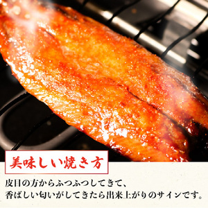 やみつき！！干物シリーズ さんま干物セット (本味醂干し・旨辛明太風) さんま干物 みりん干し 味醂干し 明太 おかず 焼き魚 焼き グリル 海鮮 三陸産