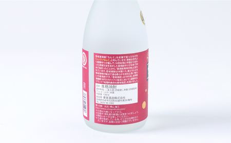 【全2回定期便】重家酒造　サブロック　720ml　2本組《壱岐市》【株式会社ヤマグチ】焼酎  麦焼酎 酒 アルコール　 [JCG136] 40000 40000円