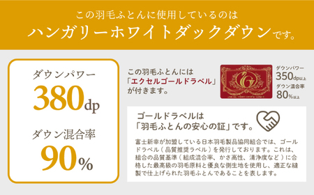 【高島屋選定品】〈富士新幸九州〉「GuuG」クイーン 羽毛肌掛けふとん　ハンガリーホワイトダック ダウン90％《壱岐市》寝具 ダウンケット 布団 クール寝具 オールシーズン対応 羽毛布団 肌掛け布団 国産 日本製[JFJ066] 77000 77000円