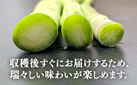 【アスパラガス専門農家が作る！】壱岐産アスパラガス1kg(MSサイズ)  ≪壱岐市≫【きたじま農園】国産 冷蔵配送 産地直送 朝採れ 新鮮 [JGI004]