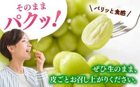 【2026年発送分 先行予約】シャインマスカット 計1.4kg（2房入り） / 佐賀県 / 石橋果樹園 [41AAAJ001]