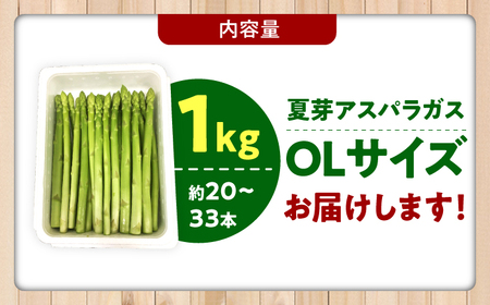 夏芽アスパラガス 計1kg（〇Lサイズ） / アスパラガス / 佐賀県 [41AABE104]