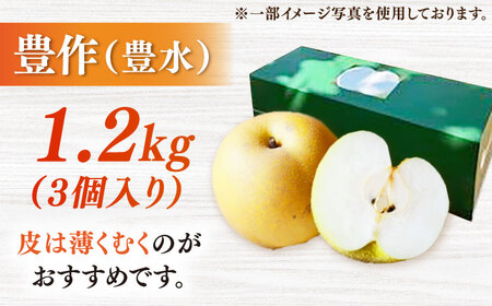 【2026年発送分 先行予約】【化粧箱入り】豊作（豊水）3個入（約1.2kg） / 佐賀県 / 大川三世代 [41AEAB005]