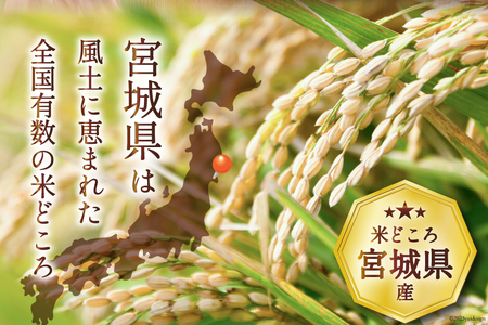 米 宮城県産 ササニシキ 5kg [気仙沼米穀商業協同組合 宮城県 気仙沼市 20564744]