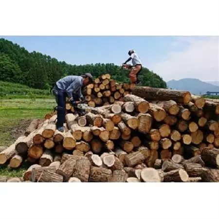 北信州産 乾燥ナラ薪20kg 大割(長さ約40cm)【1528344】