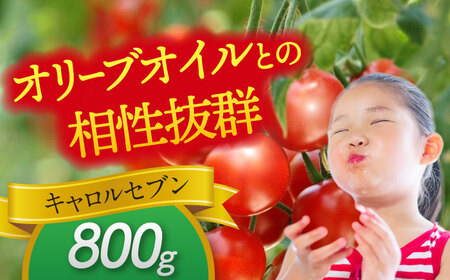 ミニトマト (キャロルセブン)800g 野菜 トマト[AEBG005]