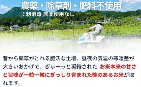 【定期便6回】自然栽培米 玄米 ＜令和7年産 3kg＞ ／ ふるさと納税 無農薬 米 お米 一等米 こめ コメ 国産 新米 玄米 農家やまおか 奈良県 宇陀市 農家山岡

