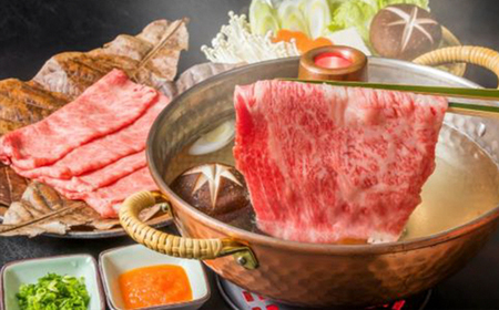 【お肉定期便】【厳選部位】【しゃぶしゃぶすき焼き用】博多和牛サーロイン5回定期便（500g×5回）計2.5kg[H0100T5]