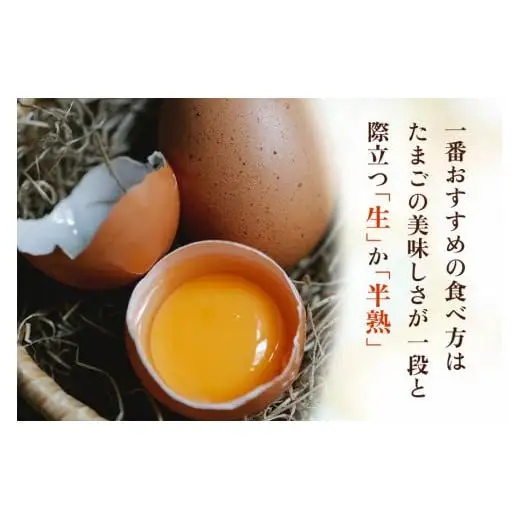 【定期便6回】高原名水 卵 30個｜豊かな自然で育ったアスタキサンチン含有の高原名水卵【感動の甘さと濃さ】栃木県 矢板市
