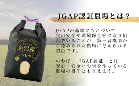 魚沼産コシヒカリ 特別栽培「伊乎乃」 3kg×3か月連続お届けうちがまき絆 | 9キロ 新潟県 魚沼 米