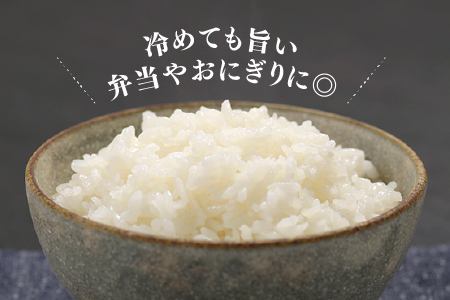 AB581.特Ａも獲得した自慢のお米『元気つくし』５ｋｇ【元気つくし】