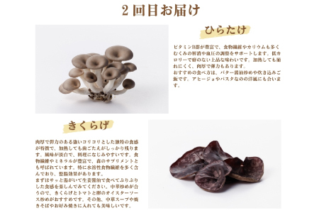 【3回定期便】オーガニックきのこ 5種 定期便