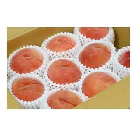 【2026年発送】フルーツ王国　長野県信州直送「旬な桃」　あかつき　約1.5kg(4～7玉)【配送不可地域：離島】【1530510】