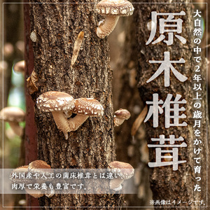 きのこ 国産 しいたけ(計240g・2袋)【九南サービス(タマチャンショップ)】A500-v01