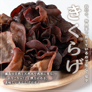 きのこ 国産 きくらげ(計120g・3袋)【九南サービス(タマチャンショップ)】A501